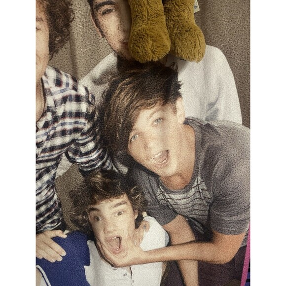 One Direction 1D Rare Soft Throw & Retired Build A Bear 1D Bear Harry Styles - Picture 3 of 15